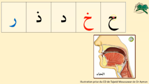 Lire le Coran pour tous avec Tajwid en ligne