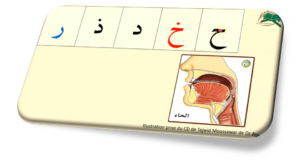 apprendre la récitation du Coran en ligne avec Tajwid